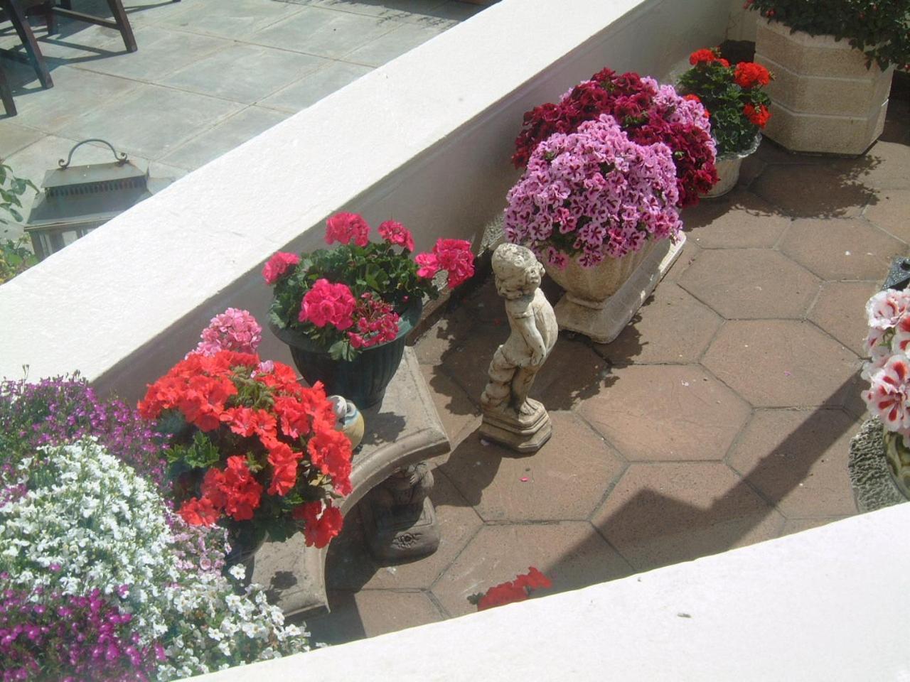 Manor House B And B Larne Dış mekan fotoğraf