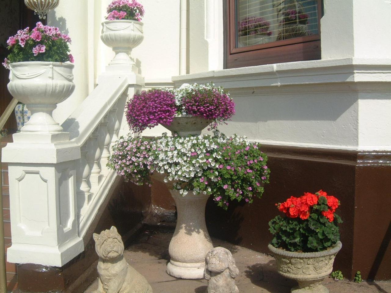 Manor House B And B Larne Dış mekan fotoğraf