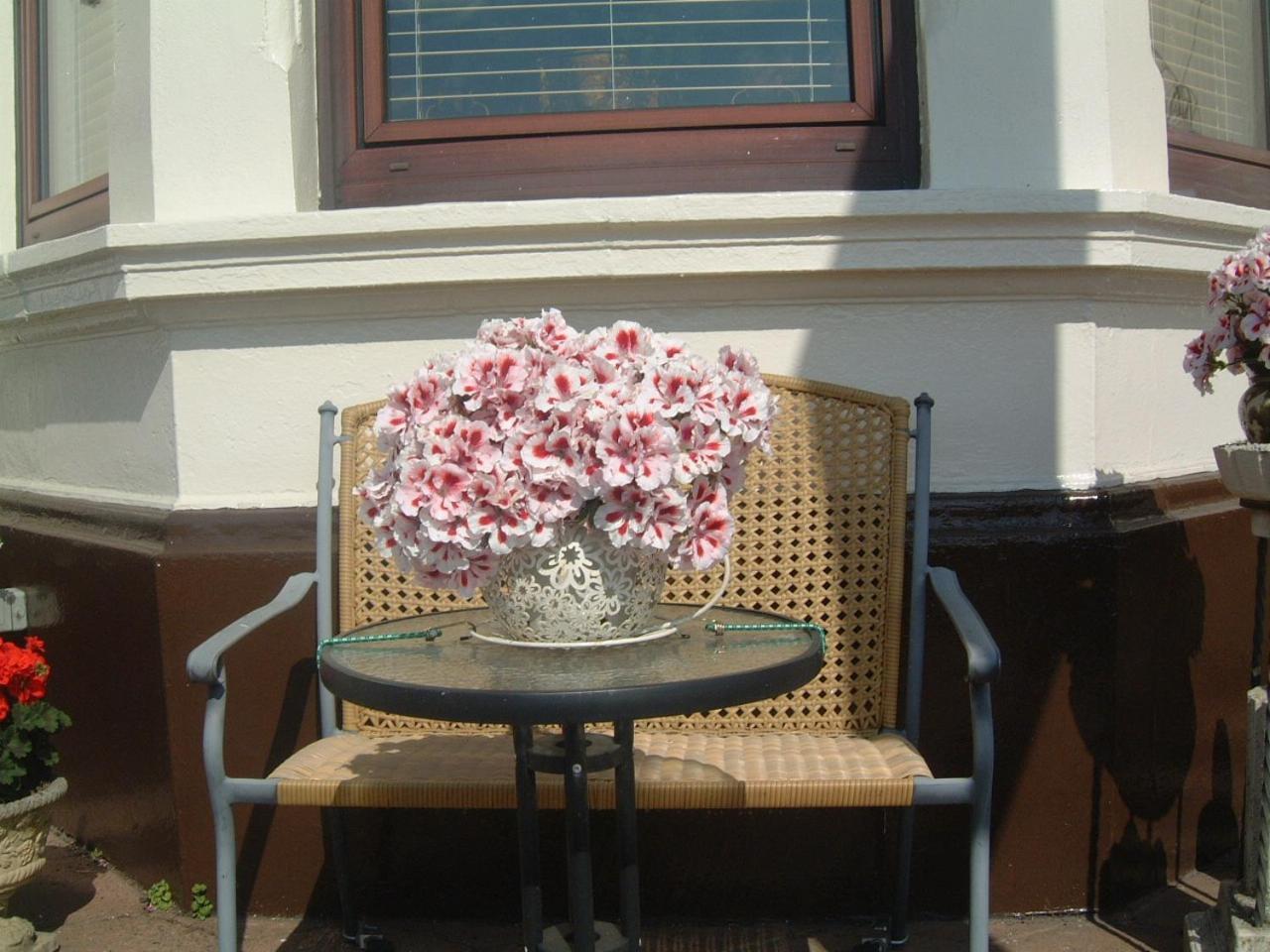 Manor House B And B Larne Dış mekan fotoğraf